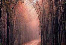 苹果 仰望官网-苹果 仰望激活码-苹果 仰望授权码优秀服务商